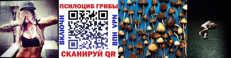 Псилоцибиновые грибы GOLDEN TEACHER  магазин  наркотиков  Грязовец 